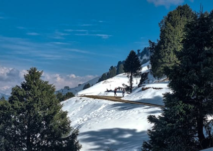 Package Manali
